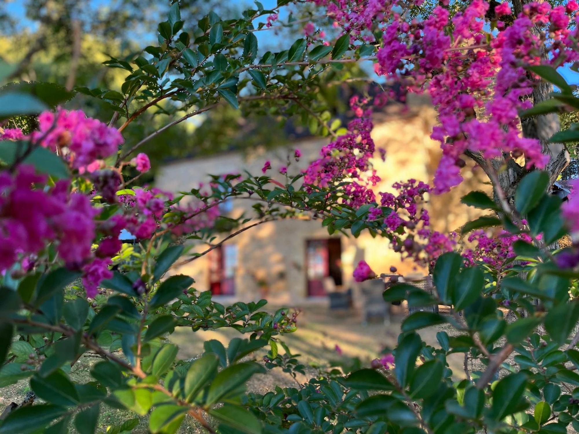 Roquebrune Saint-Alvère Exteriér fotografie